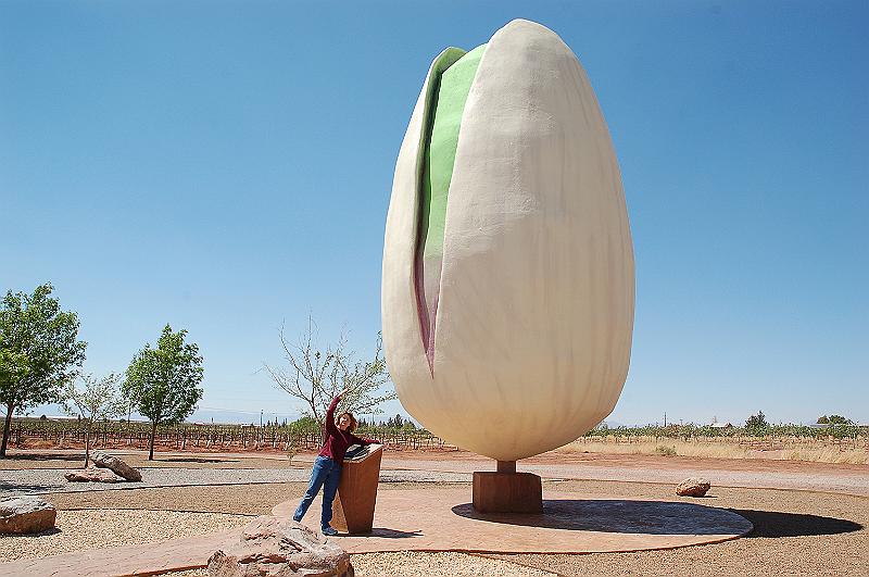 Pistachio store near Alamagordo.JPG